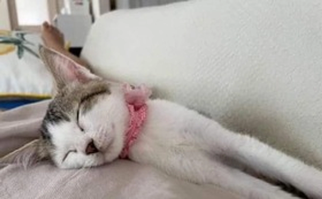 《お気持ちコース》広報誌にお名前を掲載（1万円コース）