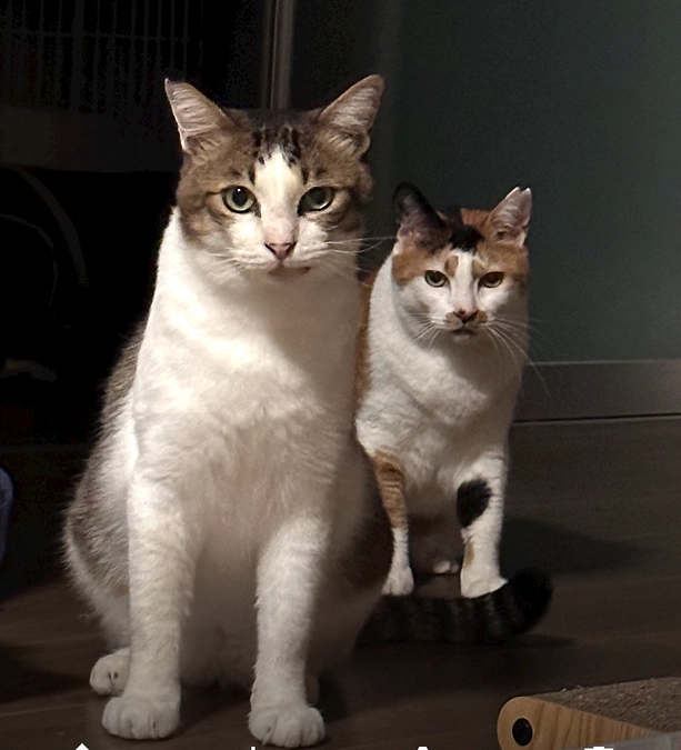 もう一つ、皆さまにお伝えしたいことがあります。ありがとう、きっちゃん。あなたが私の原点です