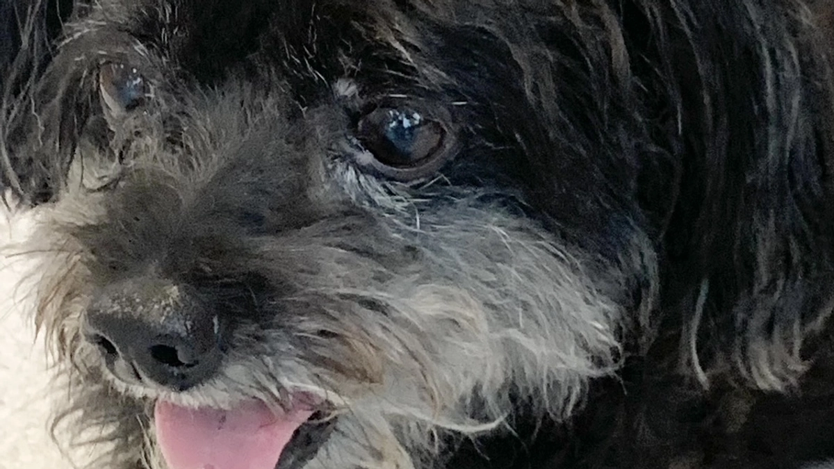 リターンの送付を終えました。