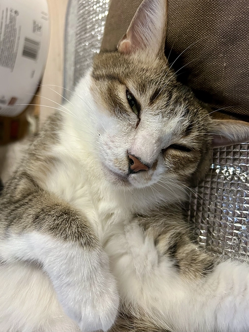 🎥動画で巡る《開放型シェルター》まだ長屋だよ！ツアー🐾