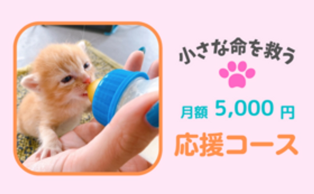 毎月応援！5,000円コース