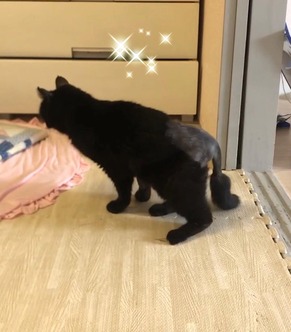 退院後の状態を見るためレントゲンをとりました。