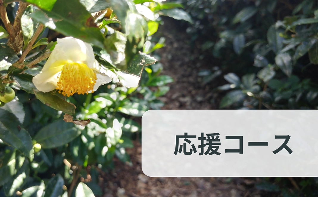 末吉製茶工房を応援コース