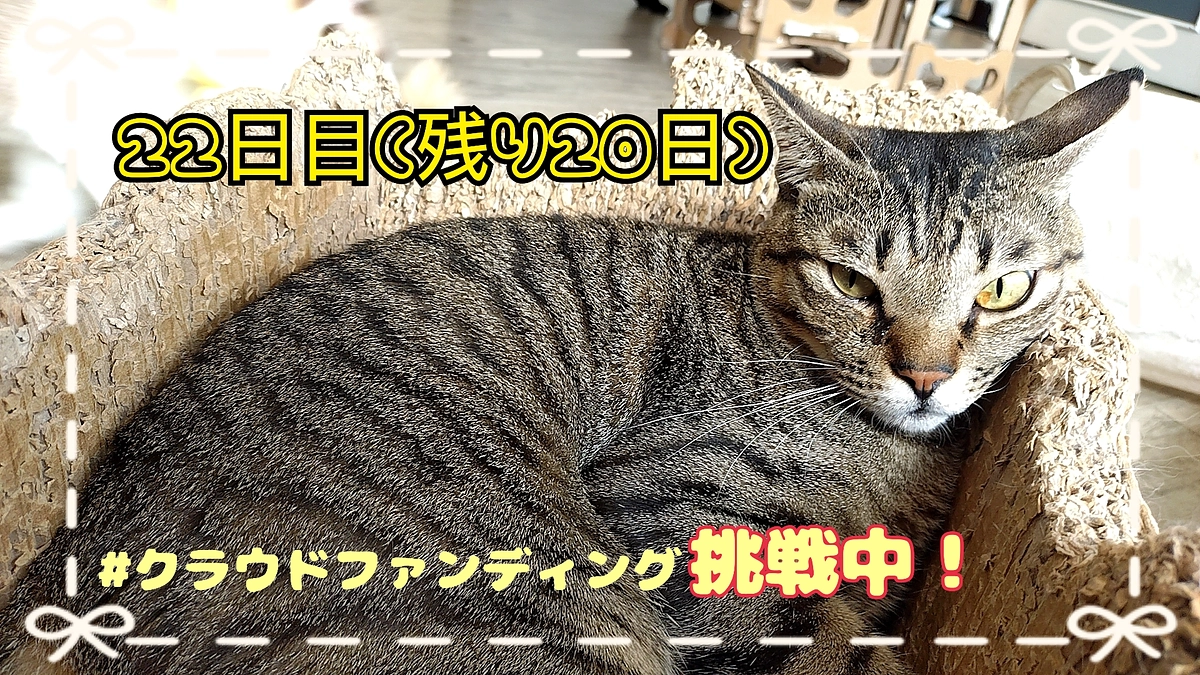 是非見てって！もぐもぐタイム！