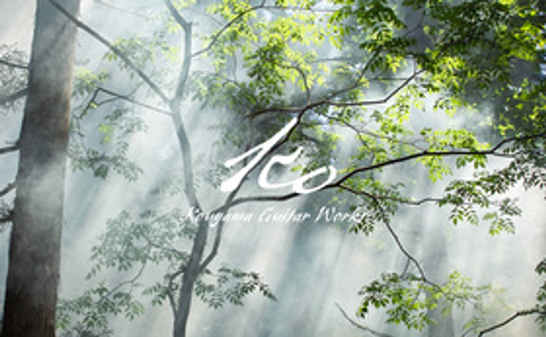 全力応援　3000円コース