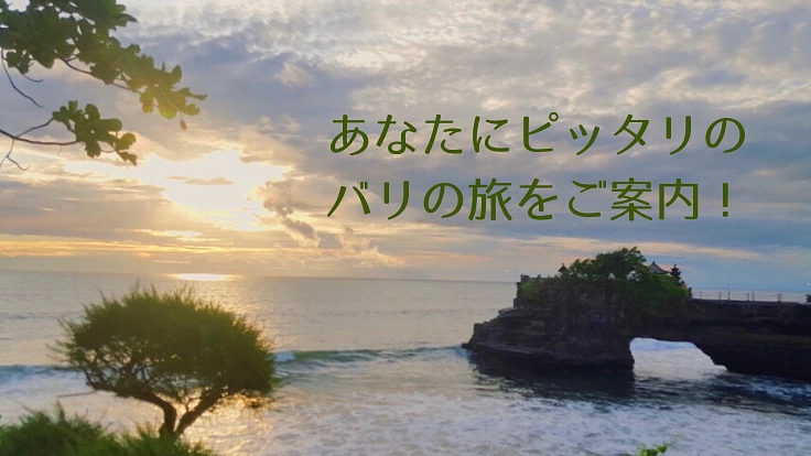 ふるさとバリ島でツアー会社を始めるための車を購入したい！