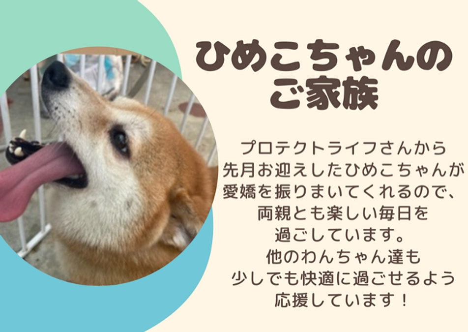 ひめこちゃんのご家族からの応援メッセージ