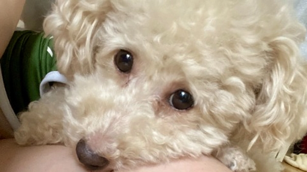 【残り5日】ここまで支えて下さった皆さまへ