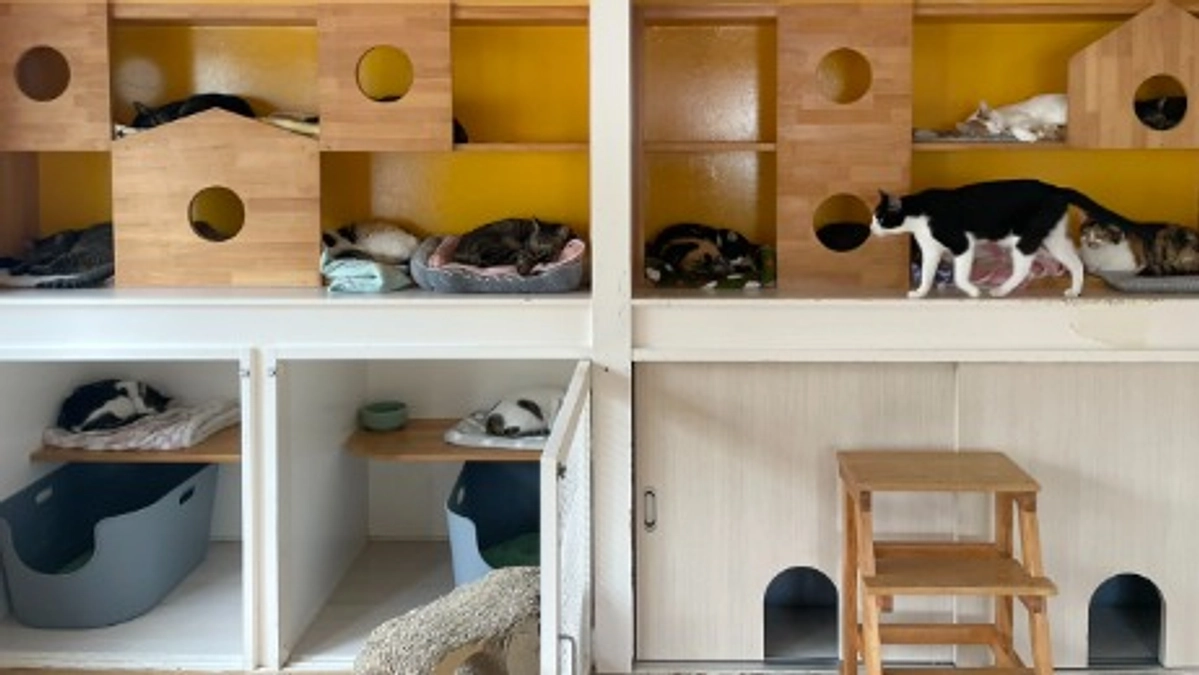 ＬＹＳＴＡ通信　R７年９月