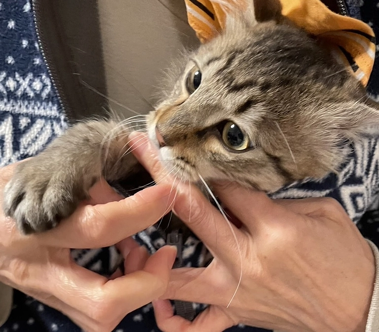 心からのお礼と、イタズラが過ぎるちゃむ