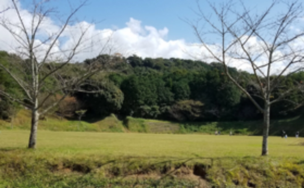 心を込めてお礼のメールをお送りします。