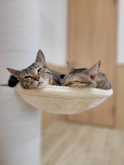 リターンについて