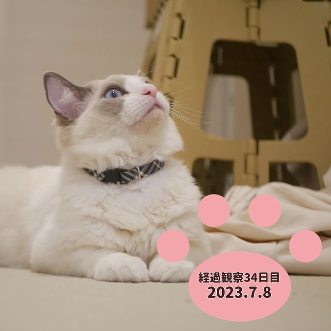 経過観察34日目(2023.7.8)