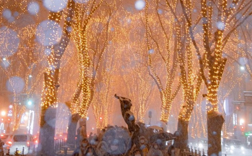 プロジェクト応援プランA