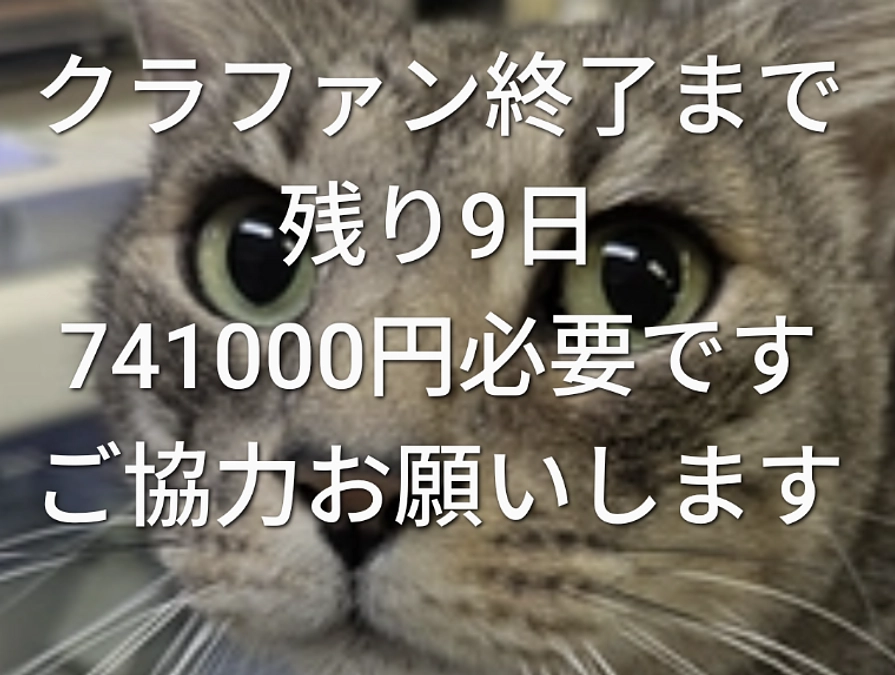 プロジェクト終了まで９日です