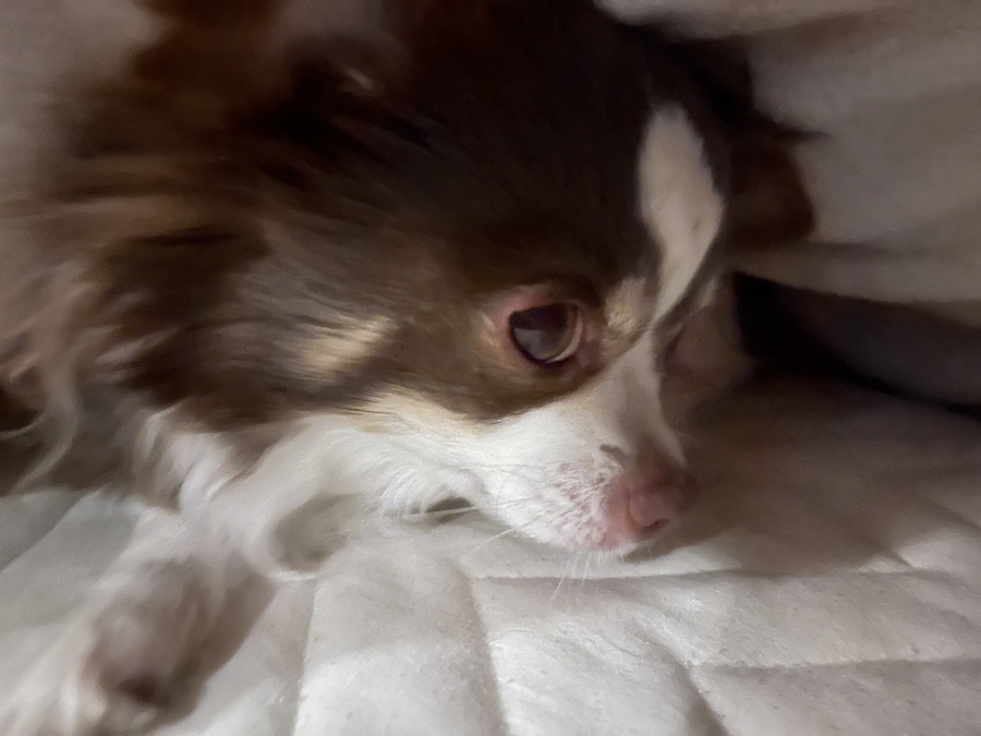 2023.12.01  達成率16%❗