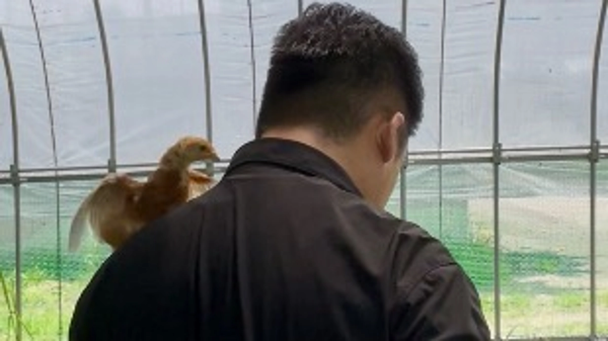 配信致します！