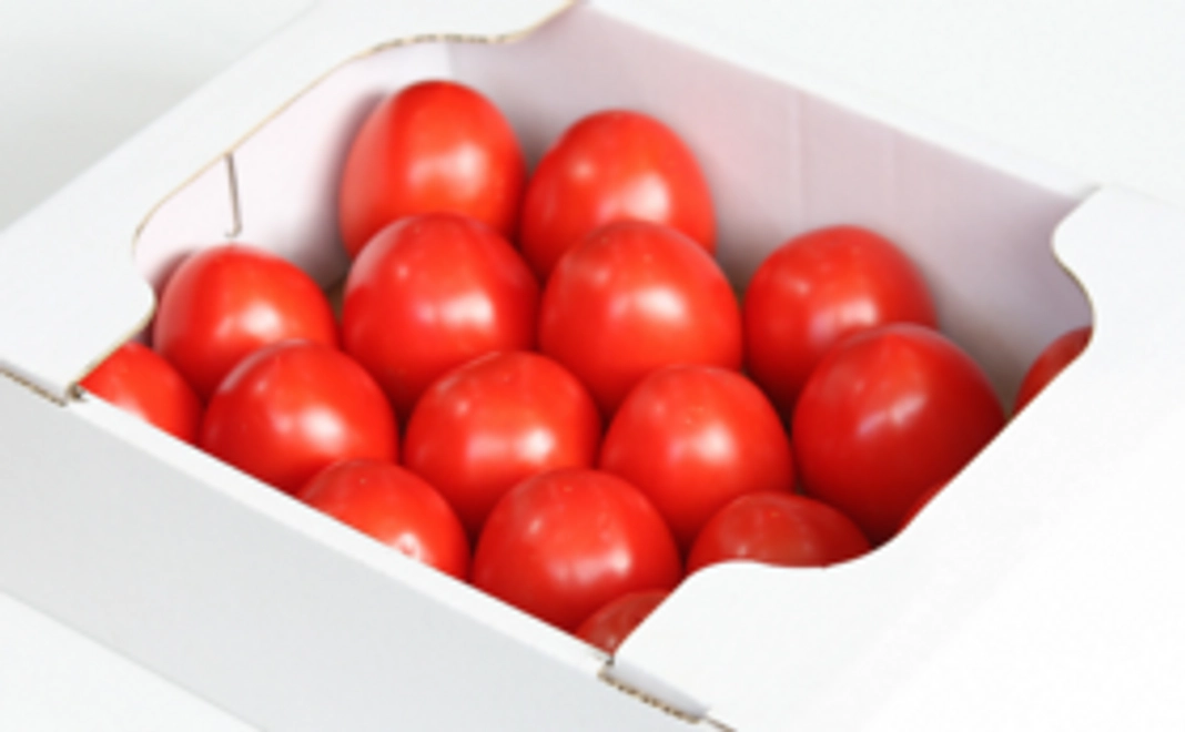 加熱用トマト（中箱）