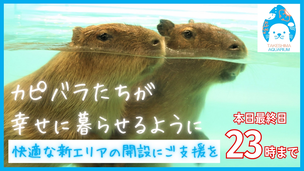 本日23時まで！カピバラたちが幸せに暮らせるように！