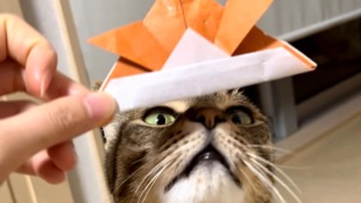 【通院記録】2月7日