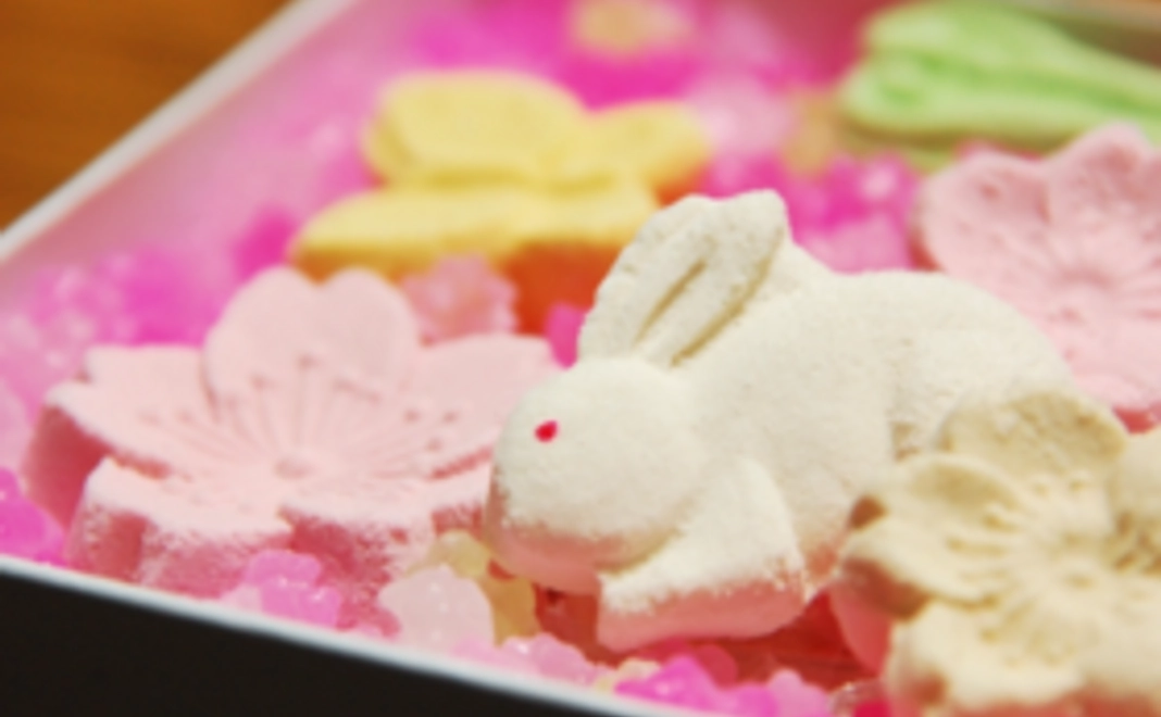 なんぞってなんぞ?コース