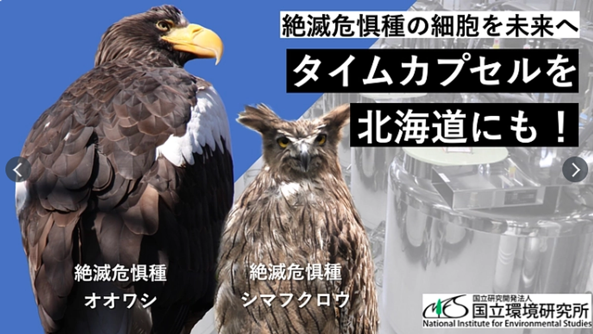 国立環境研究所のクラウドファンディングのご紹介