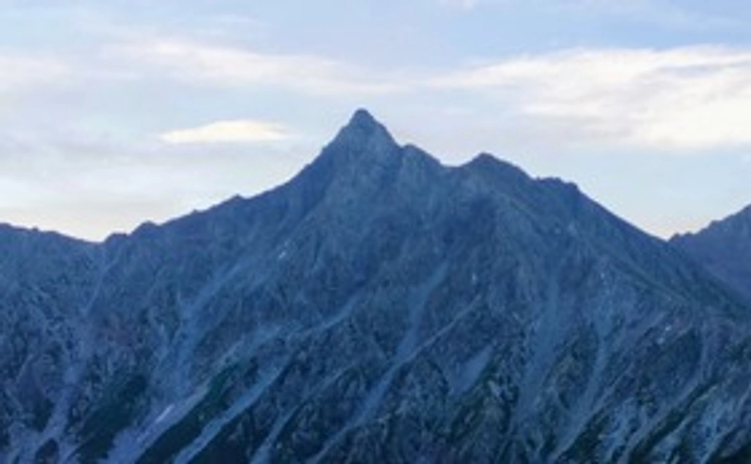 Dくん応援プラン