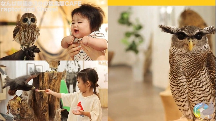 これからも動物と子供たちの笑顔を同じ空間に。