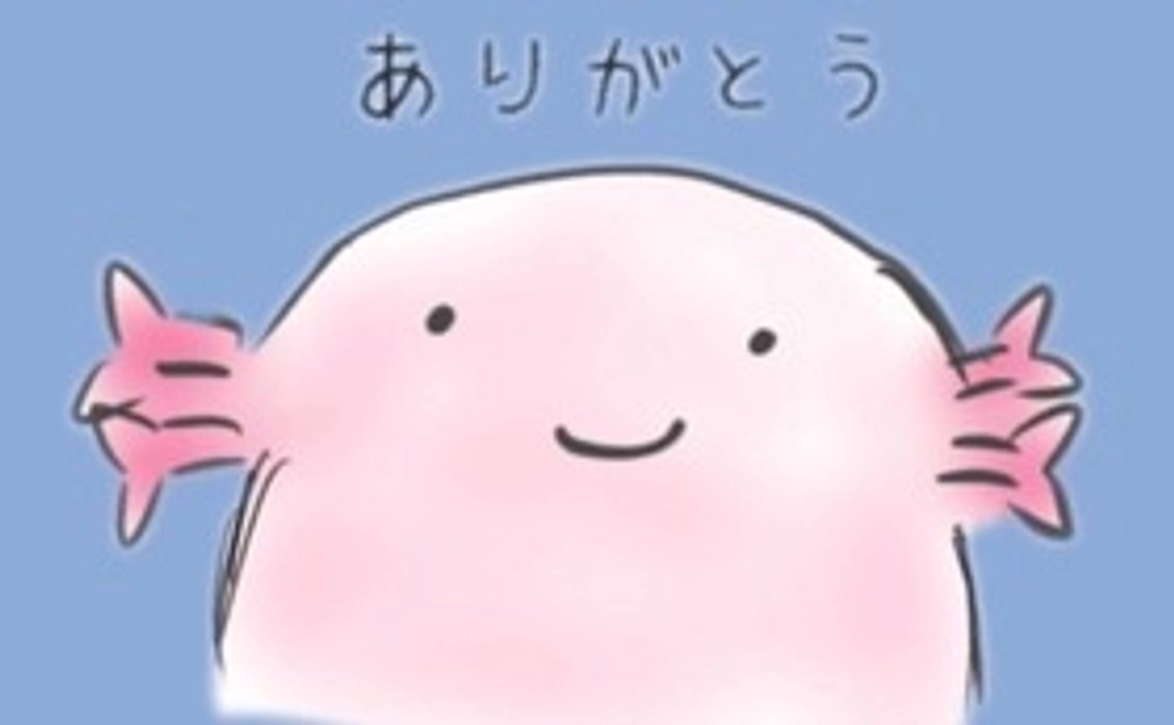 ちょこっと応援ありがとうプラン