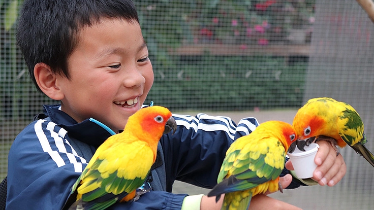 富士花鳥園｜鳥たち、花たち、お客様に、心も身体も温まる空間を。