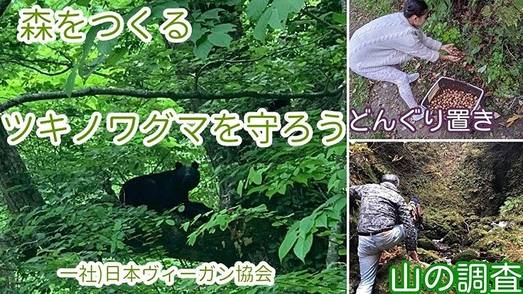 どんぐりすてーしょん　ツキノワグマ激減調査隊