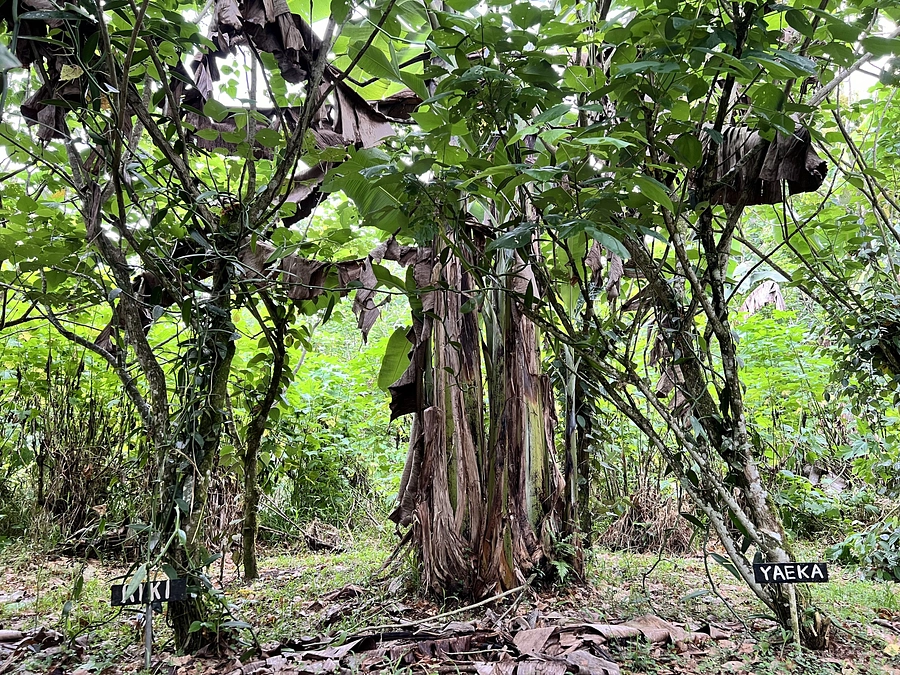 無事帰国しました！さらなるご支援をよろしくお願いいたします！