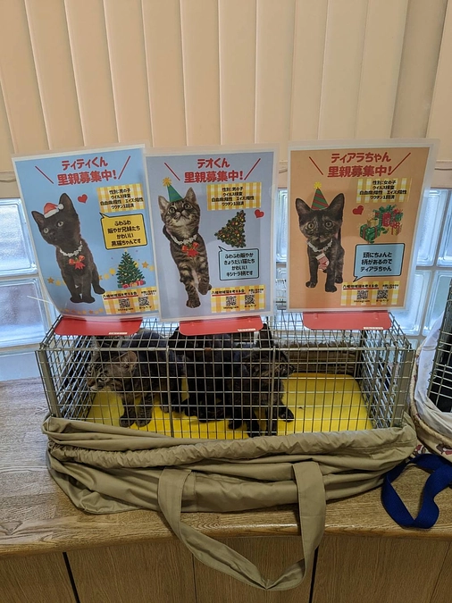 里親会を開催しました