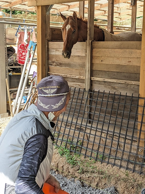 厩舎修繕の様子　PartⅡ