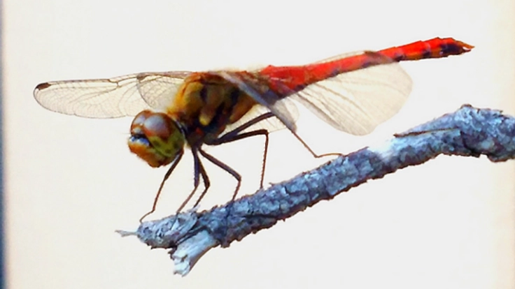 騙されてからでは遅いんです！