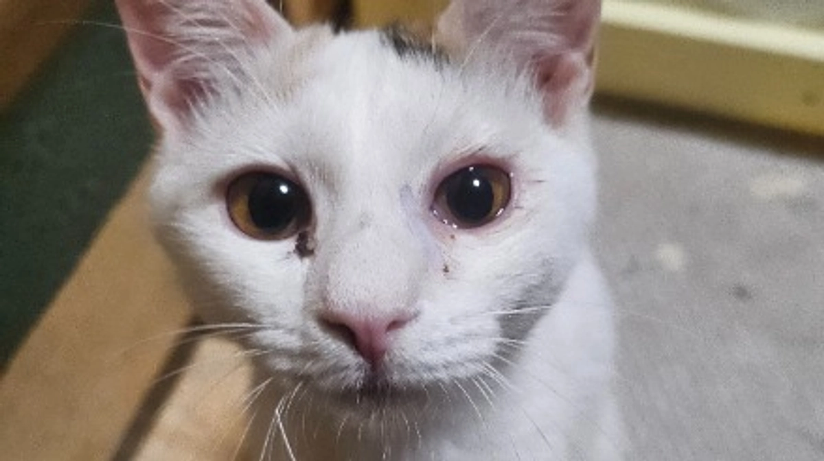 今年も一年お世話になりました。