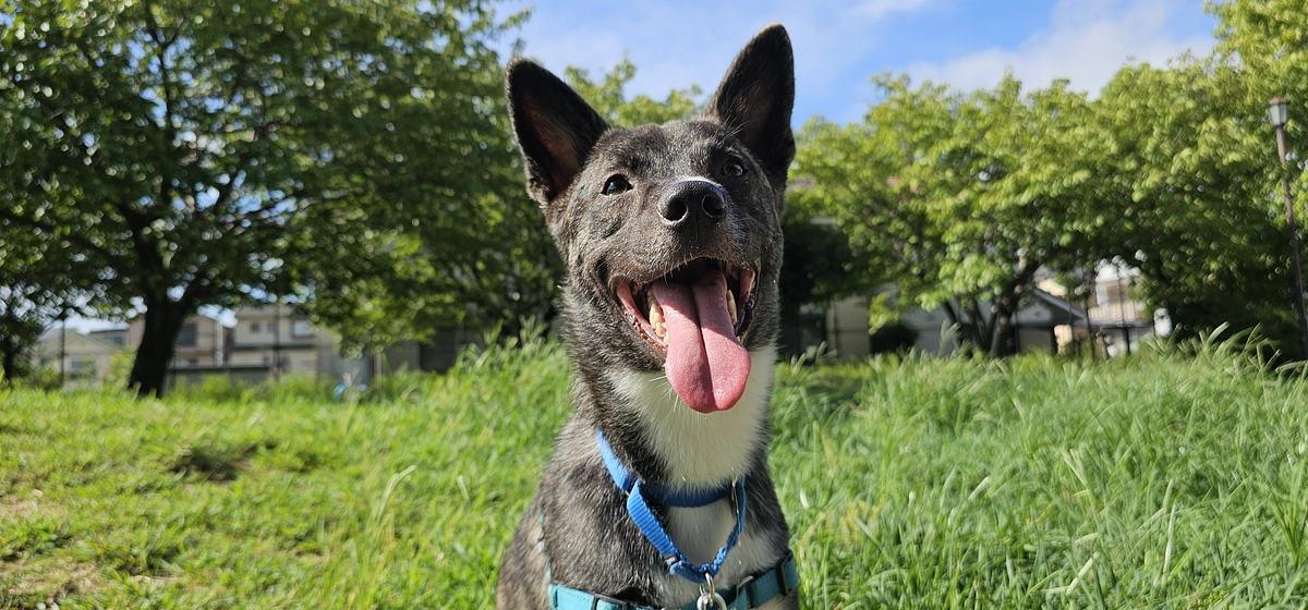 プロジェクトスタート初日のご報告