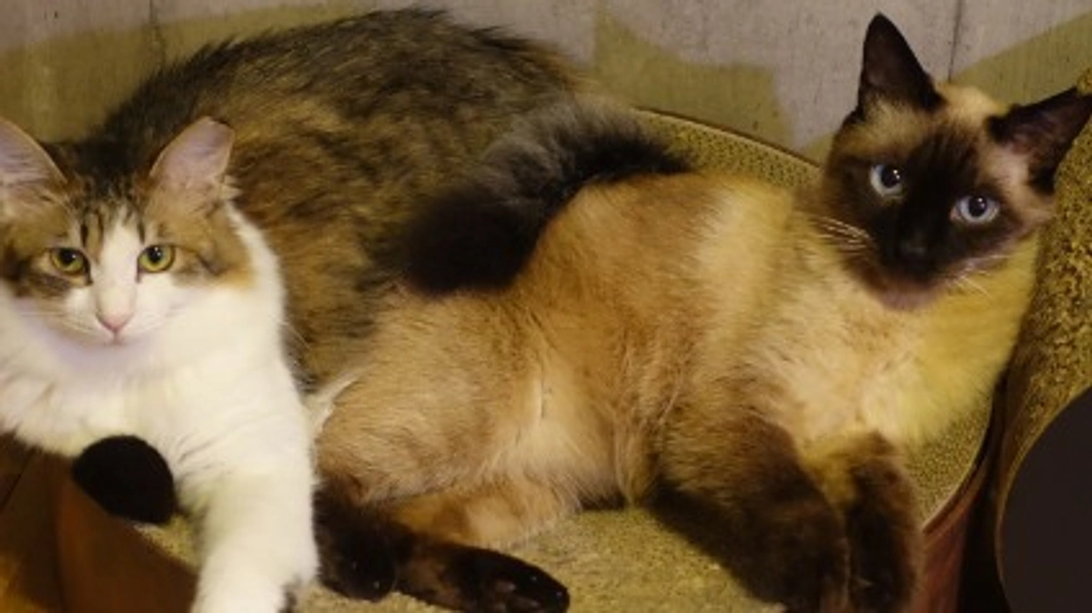 ★2023.7/2投薬開始80日目★