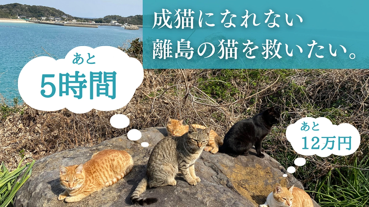 【残り5時間】達成まであと一押し！！