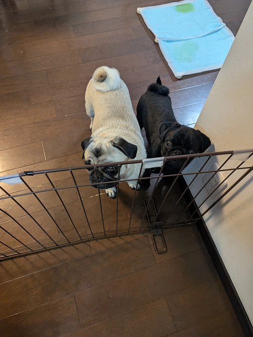 拡散協力もとてもありがたい