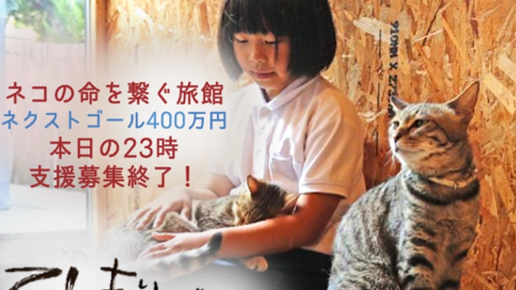 1年で100匹の命を救う【てしま旅館の猫庭】プロジェクト第２弾！