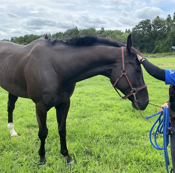 保護できた6頭の行き先が決まりました！