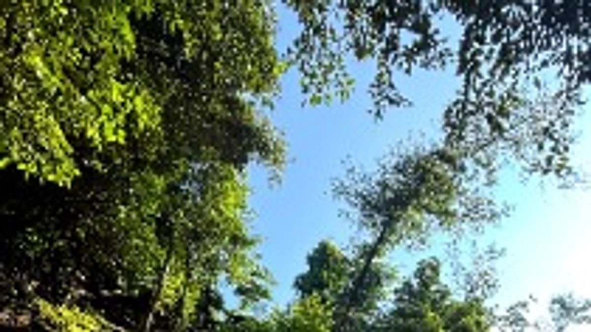 SATOYAMA TERRACEのパワースポット紹介！