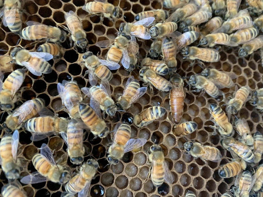 参加表明第一号は多治見西高校！