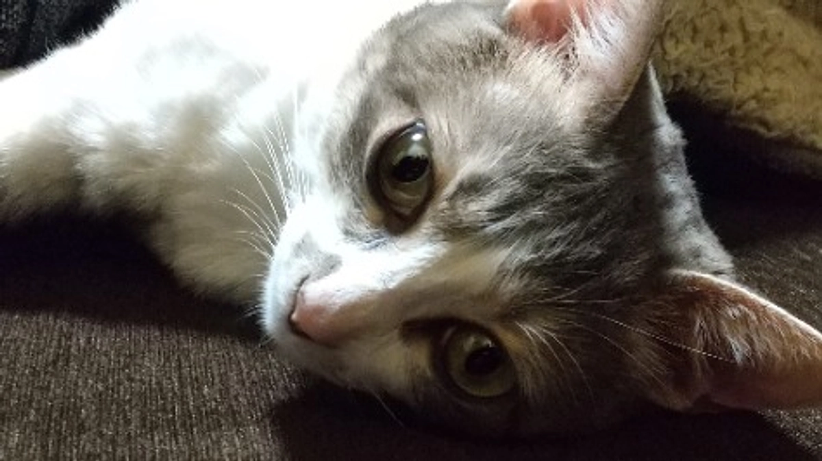 季節の変わり目