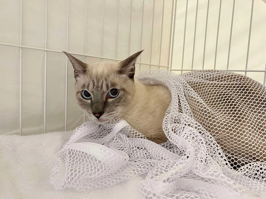 被災地を支援するということ