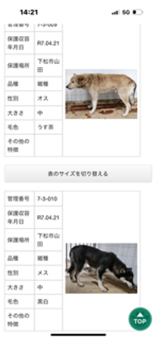 昼からもバタバタしました～🍀