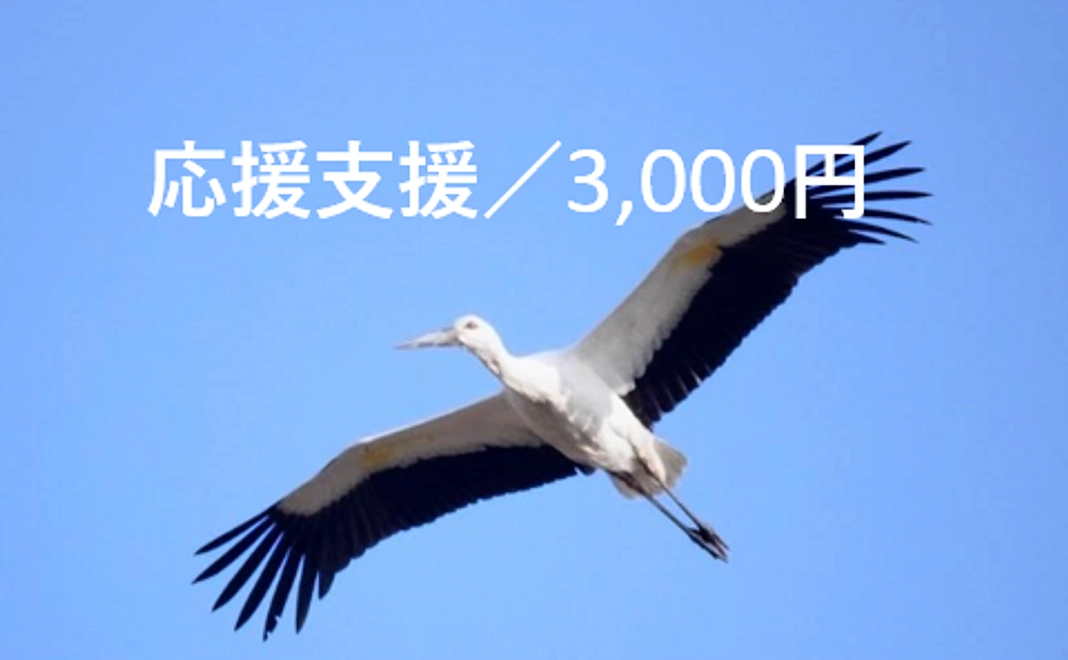 応援支援／3,000円
