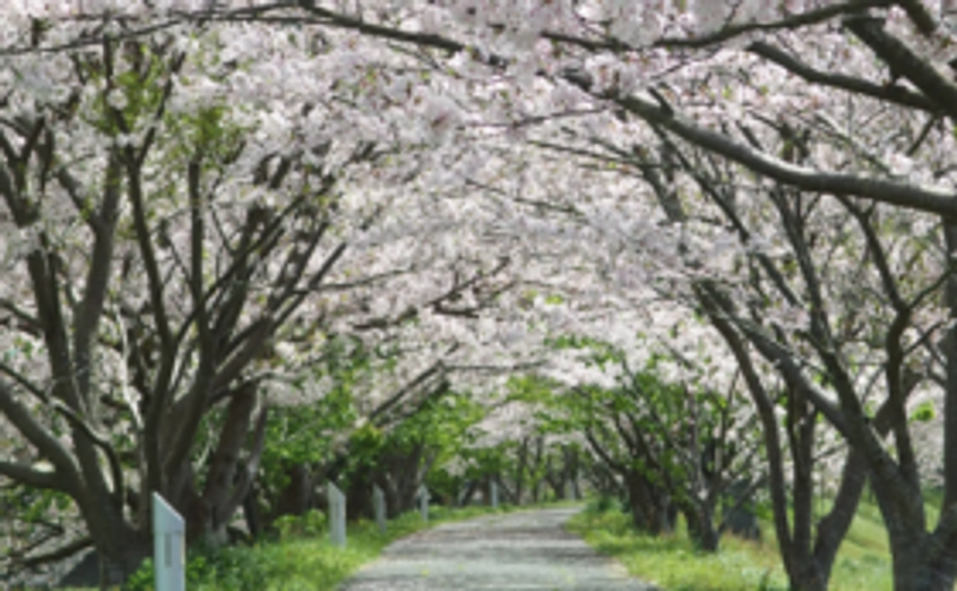 梓友会より感謝を込めて