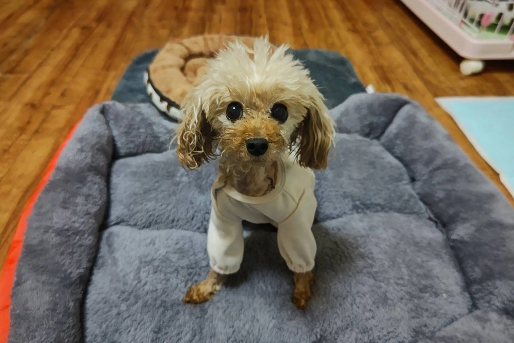 祝！退院しました！